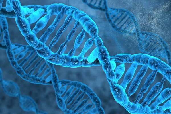10 حقائق مثيرة للاهتمام حول علم الوراثة