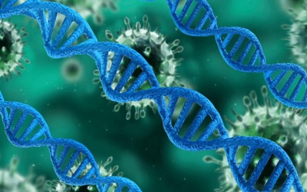 10 حقائق مثيرة للاهتمام حول علم الوراثة