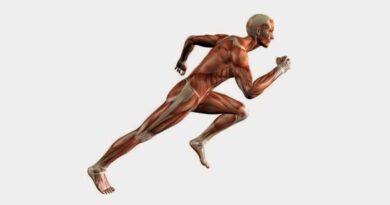 10 حقائق مثيرة للاهتمام حول العضلات