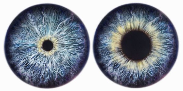 10 حقائق مثيرة للاهتمام حول عيون الإنسان