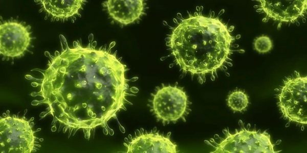 10 حقائق صادمة عن الفيروسات