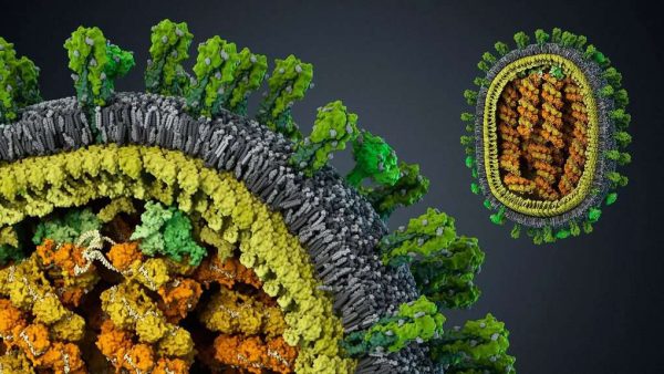 10 حقائق صادمة عن الفيروسات